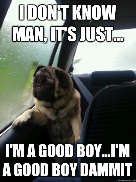 I don't know man, it's just... I'm a good boy...I'm a good boy dammit - I don't know man, it's just... I'm a good boy...I'm a good boy dammit  Introspective Pug