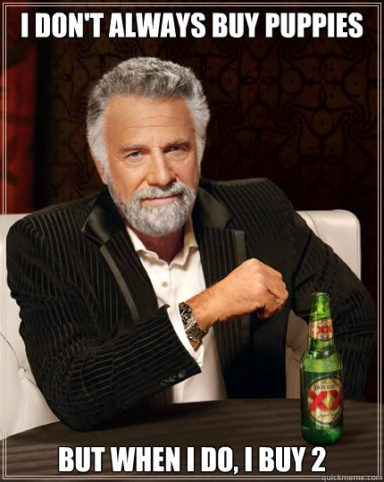 I don't always buy puppies But when I do, I buy 2  Dos Equis man