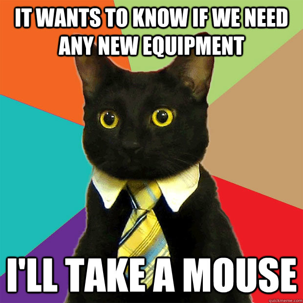 IT wants to know if we need any new equipment I'll take a mouse  Business Cat