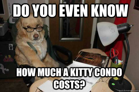 Do you even know  how much a kitty condo costs?  Financial Advice Dog