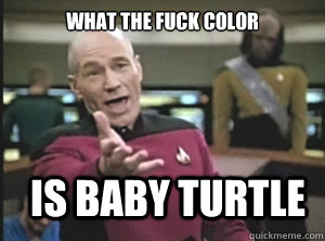 What the fuck color Is baby turtle  Annoyed Picard