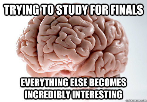 Trying to study for finals Everything else becomes incredibly interesting  Scumbag Brain