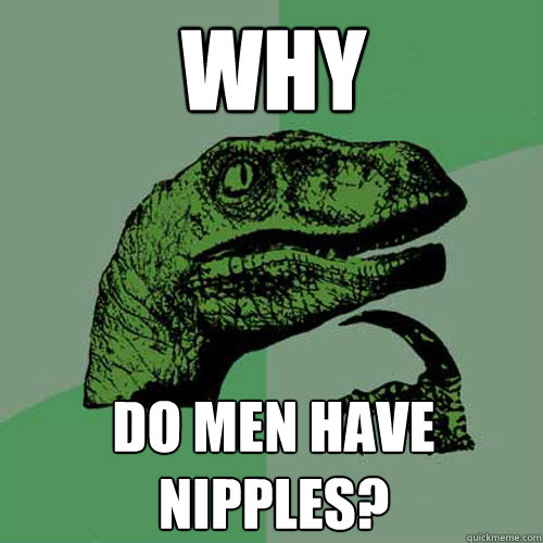 Why do men have nipples?  Philosoraptor