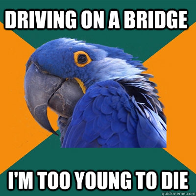 driving on a bridge i'm too young to die  Paranoid Parrot