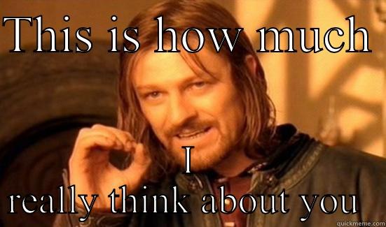 THIS IS HOW MUCH  I REALLY THINK ABOUT YOU  Boromir