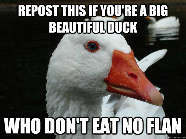 REPOST THIS IF YOU'RE a BIG BEAUTIFUL DUCK WHO DON'T EAT NO FLAN  