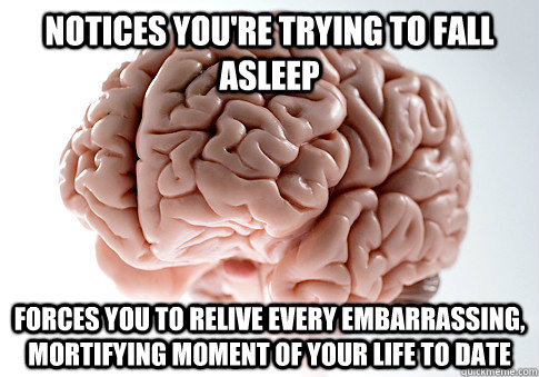 Notices you're trying to fall asleep forces you to relive every embarrassing, mortifying moment of your life to date  Scumbag Brain