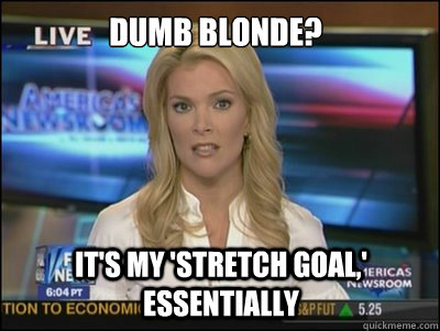 Dumb blonde? It's my 'stretch goal,' essentially  Megyn Kelly