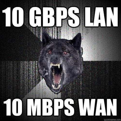 10 gbps lan 10 mbps wan  Insanity Wolf