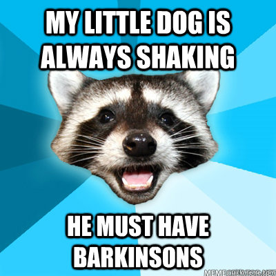 My little dog is always shaking he must have barkinsons - My little dog is always shaking he must have barkinsons  Misc