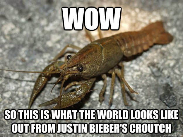 wow so this is what the world looks like out from Justin bieber's croutch  that fish cray