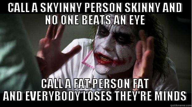 CALL A SKYINNY PERSON SKINNY AND NO ONE BEATS AN EYE CALL A FAT PERSON FAT AND EVERYBODY LOSES THEY'RE MINDS Joker Mind Loss