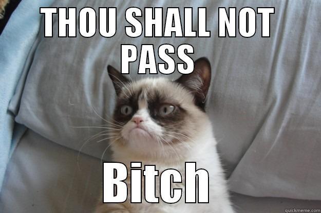 THOU SHALL NOT PASS BITCH Grumpy Cat