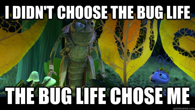 I didn't choose the bug life the bug life chose me  Bug life
