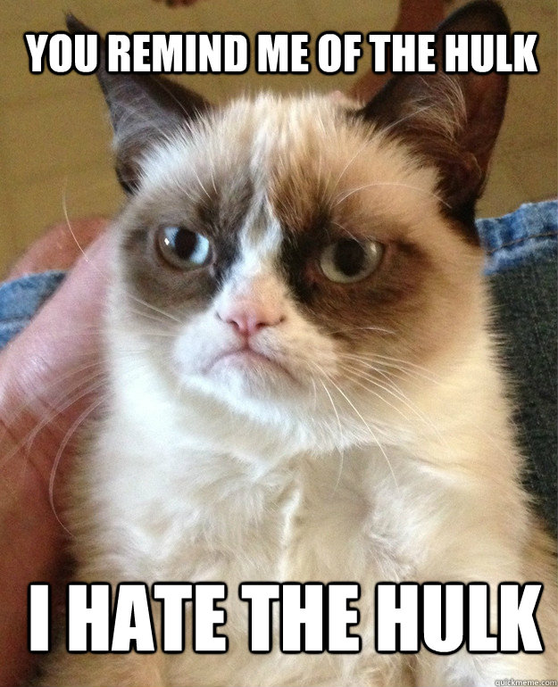 you remind me of the hulk i hate the hulk  Grumpy Cat