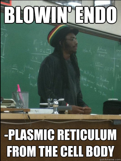 Blowin' Endo -plasmic reticulum  from the cell body  Rasta Science Teacher