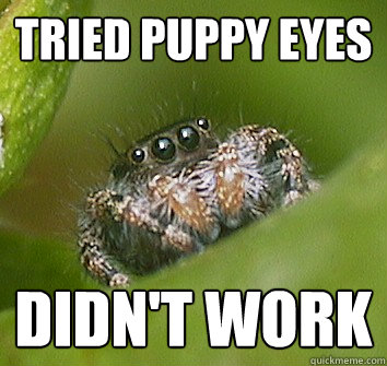 tried puppy eyes didn't work
 - tried puppy eyes didn't work
  Misunderstood Spider