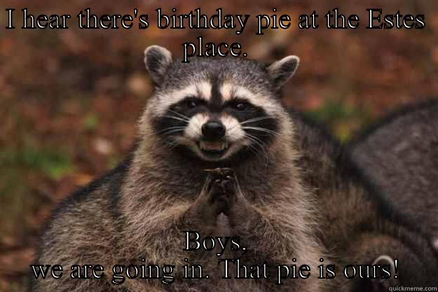 I HEAR THERE'S BIRTHDAY PIE AT THE ESTES PLACE. BOYS, WE ARE GOING IN. THAT PIE IS OURS! Evil Plotting Raccoon