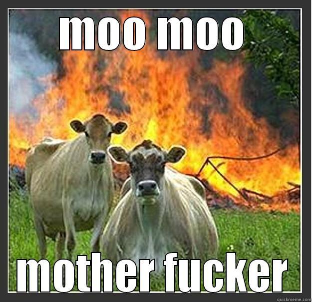 MOO MOO MOTHER FUCKER Evil cows