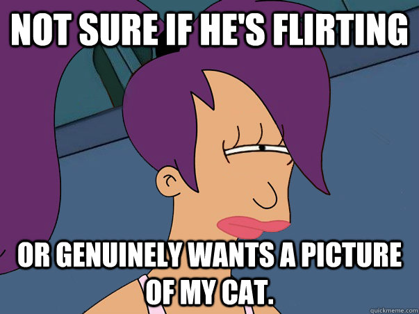 Not sure if he's flirting  or genuinely wants a picture of my cat.   Leela Futurama