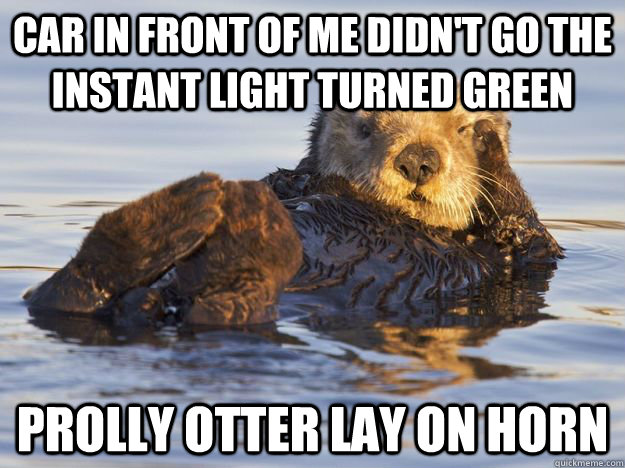 car in front of me didn't go the instant light turned green prolly otter lay on horn - car in front of me didn't go the instant light turned green prolly otter lay on horn  Prolly Otter