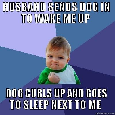 HUSBAND SENDS DOG IN TO WAKE ME UP  DOG CURLS UP AND GOES TO SLEEP NEXT TO ME  