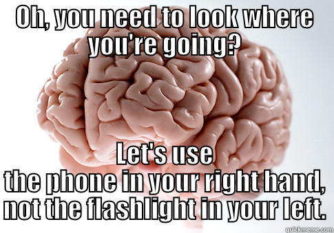 How Technology Has Changed Us - OH, YOU NEED TO LOOK WHERE YOU'RE GOING? LET'S USE THE PHONE IN YOUR RIGHT HAND, NOT THE FLASHLIGHT IN YOUR LEFT. Scumbag Brain