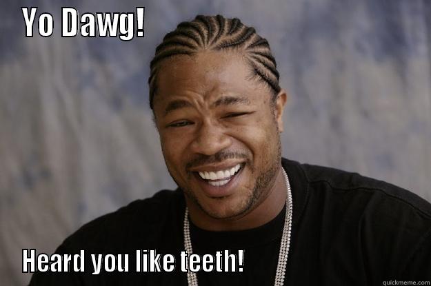 Seal Teet - YO DAWG!                                              HEARD YOU LIKE TEETH!                                     Xzibit meme