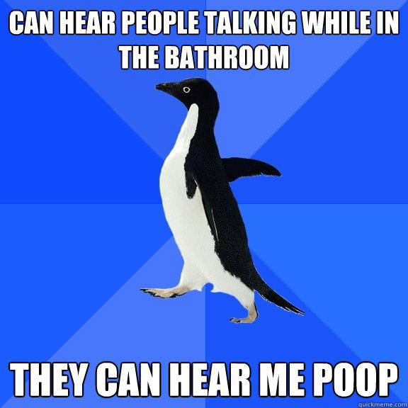 Can hear people talking while in the bathroom They can hear me poop  