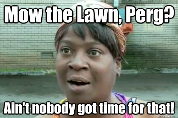 Mow the Lawn, Perg? Ain't nobody got time for that!  Sweet Brown