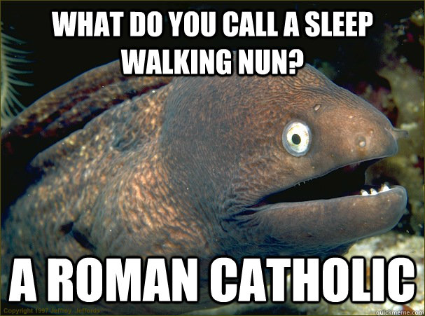 What do you call a sleep walking nun? a roman catholic - What do you call a sleep walking nun? a roman catholic  Bad Joke Eel