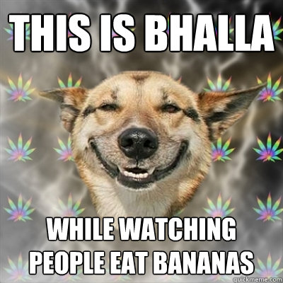 THIS IS BHALLA WHILE WATCHING PEOPLE EAT BANANAS  Stoner Dog