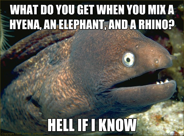 WHAT DO YOU GET WHEN YOU MIX A HYENA, AN ELEPHANT, AND A RHINO? HELL IF I KNOW  Bad Joke Eel