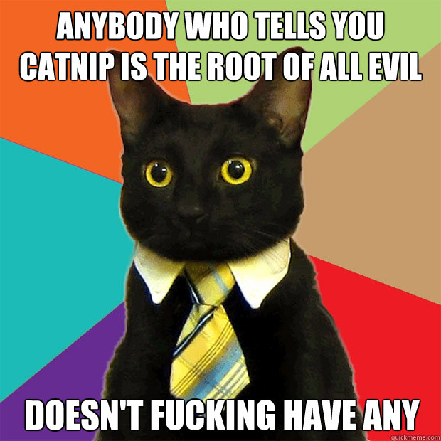 Anybody who tells you catnip is the root of all evil  
 doesn't fucking have any  Business Cat