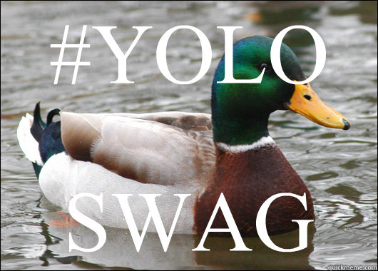 #YOLO SWAG - #YOLO SWAG  Actual Advice Mallard