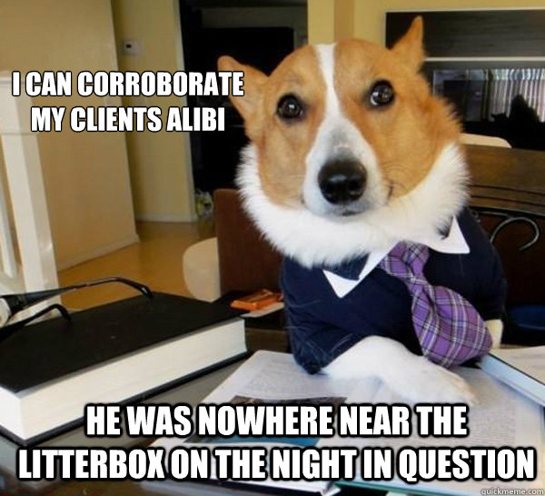 i can corroborate my clients alibi He was nowhere near the litterbox on the night in question  Lawyer Dog