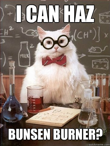 I can haz bunsen burner? - I can haz bunsen burner?  Chemistry Cat