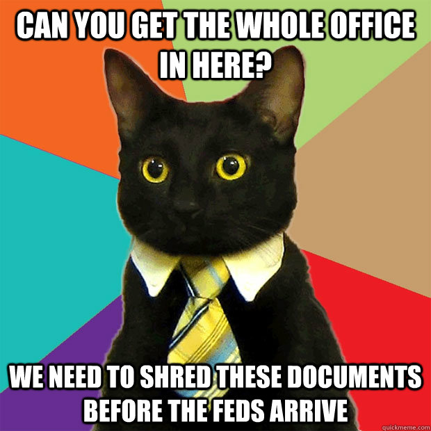 Can you get the whole office in here? We need to shred these documents before the feds arrive  Business Cat