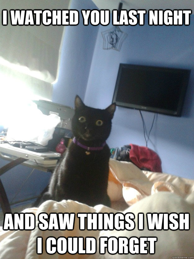 I watched you last night And saw things I wish i could forget  overly attached cat