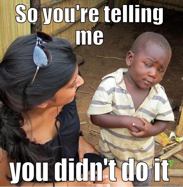 SO YOU'RE TELLING ME YOU DIDN'T DO IT Skeptical Third World Kid