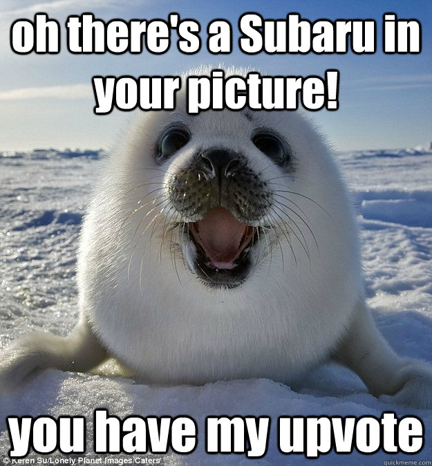 oh there's a Subaru in your picture! you have my upvote - oh there's a Subaru in your picture! you have my upvote  Easily Pleased Seal