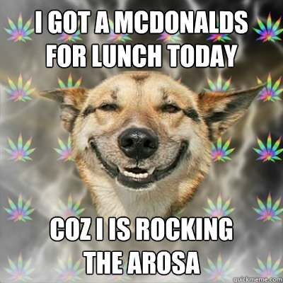 I GOT A McDONALDS
FOR LUNCH TODAY COZ I IS ROCKING
THE AROSA  Stoner Dog