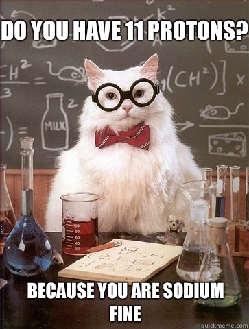 Do you have 11 protons? Because you are sodium fine  Chemistry Cat