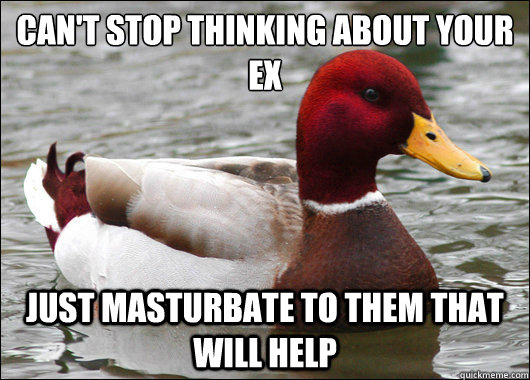 Can't stop thinking about your ex
 Just masturbate to them that will help  Malicious Advice Mallard