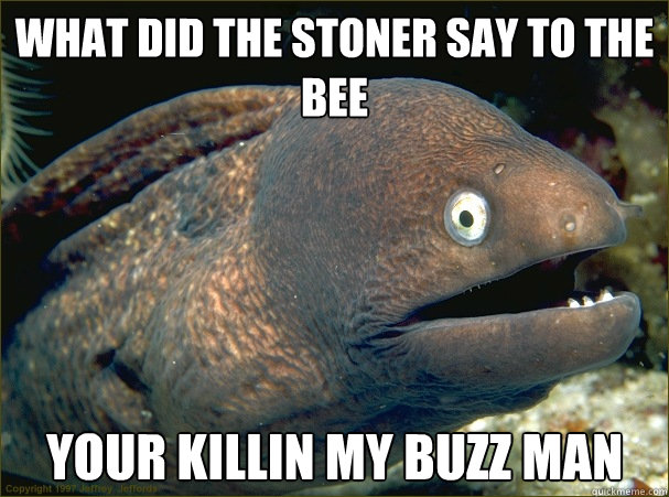 What did the stoner Say to the Bee Your killin my Buzz Man  Bad Joke Eel