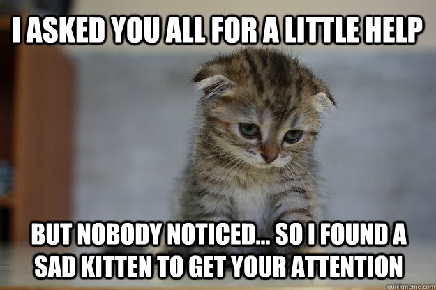 I Asked You All for a Little Help  But nobody noticed... so I found a Sad Kitten to get your attention  Sad Kitten