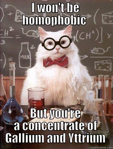 I WON'T BE HOMOPHOBIC  BUT YOU'RE A CONCENTRATE OF GALLIUM AND YTTRIUM Chemistry Cat