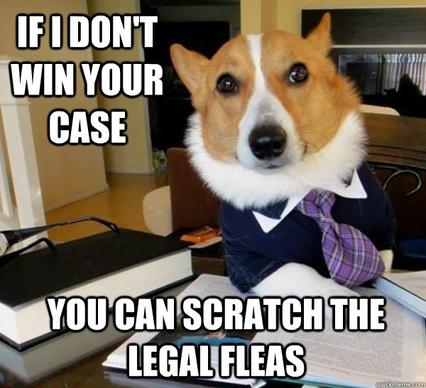 If I don't win your case You can scratch the legal fleas  Lawyer Dog