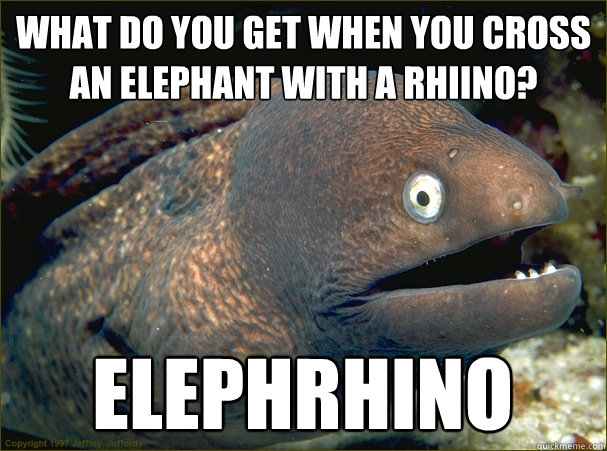 What do you get when you cross an elephant with a rhiino? elephrhino  Bad Joke Eel