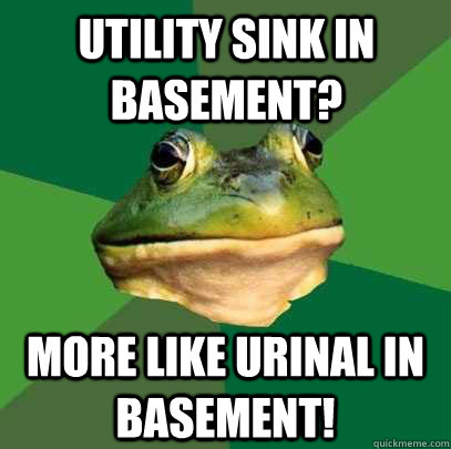 Utility sink in basement? More like urinal in basement!  Foul Bachelor Frog